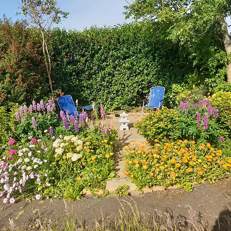 Viking Lodge Coastal B&B * Ballyhack