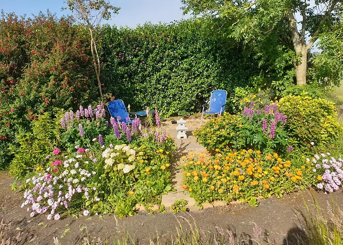 Viking Lodge Coastal B&B * Ballyhack (Wexford)